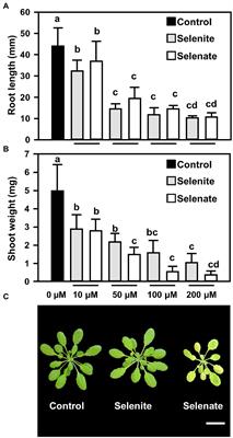 Discriminative Long-Distance Transport of Selenate and Selenite Triggers Glutathione Oxidation in Specific Subcellular Compartments of Root and Shoot Cells in Arabidopsis